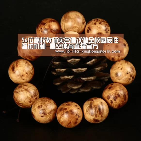 星空体育直播官方