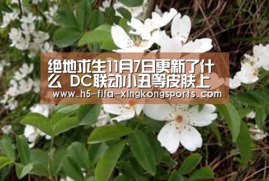 星空体育官网